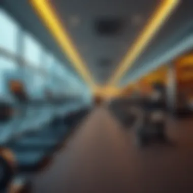 Magnificent A Comprehensive Guide to Gyms in Al Quoz Magnificent A Comprehensive Guide to Gyms in Al Quoz