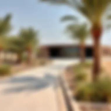 Magnificent Understanding the Entry Fee Structure of Ras Al Khor Wildlife Sanctuary Magnificent Understanding the Entry Fee Structure of Ras Al Khor Wildlife Sanctuary