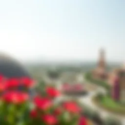 Scenic view of Miracle Garden from a distance