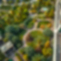 Aerial view of Mankhool Park showcasing lush greenery and pathways