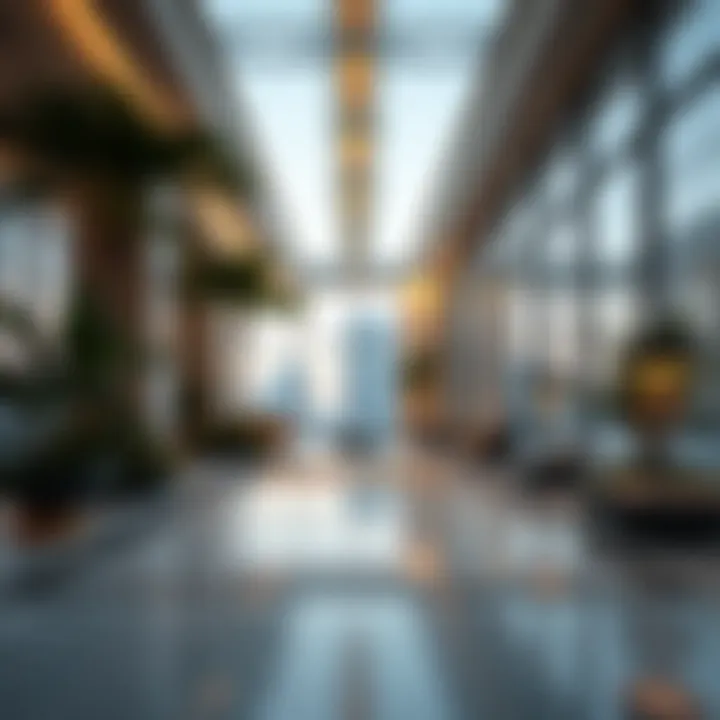Understanding the Grace Period Following Residency Cancellation in the UAE Introduction